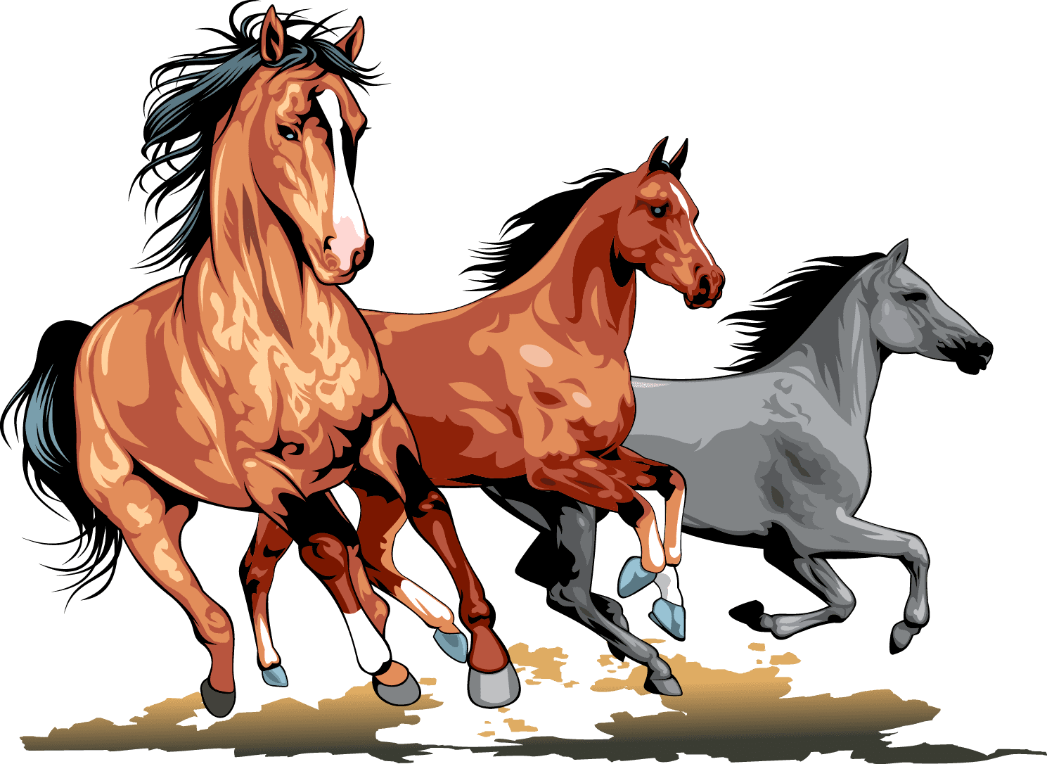chevaux
