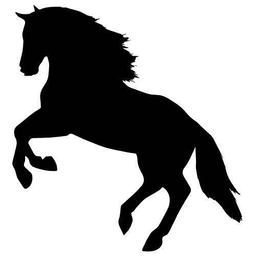 course